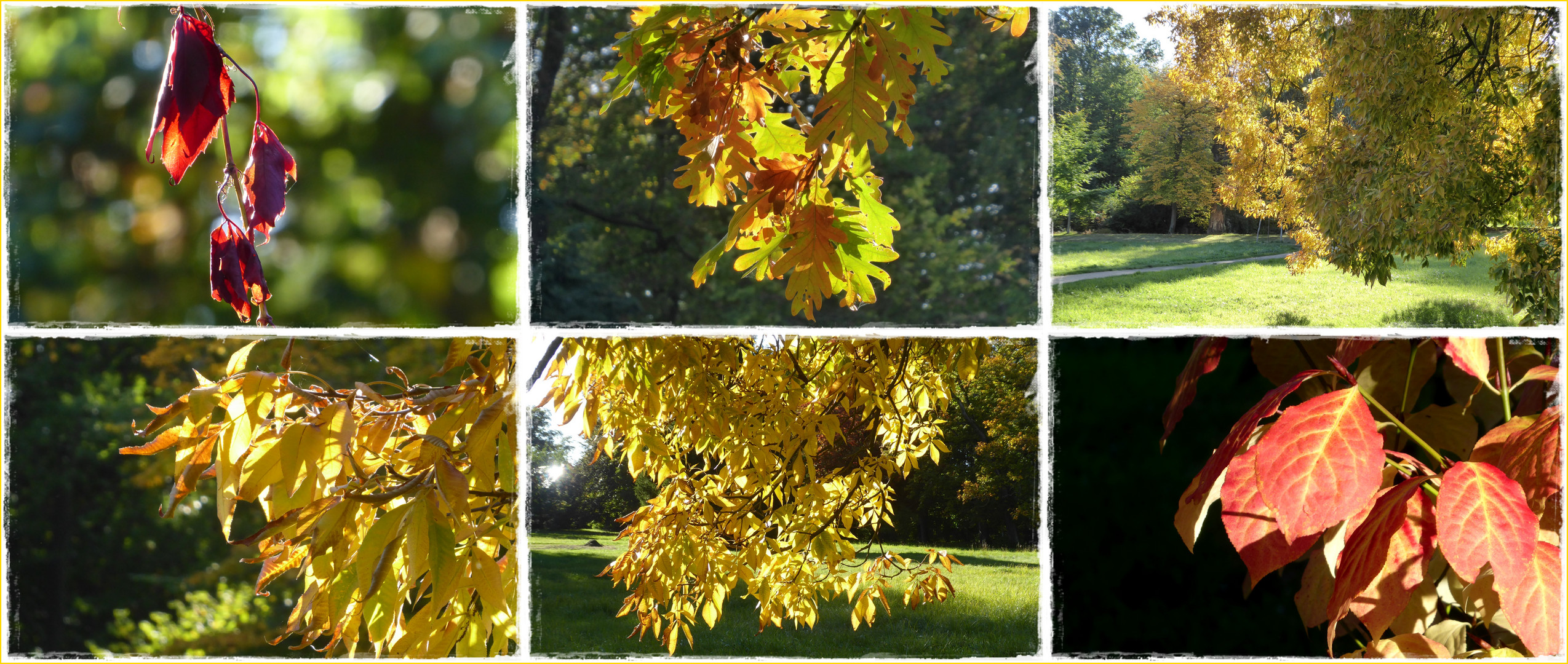 Goldener Herbst