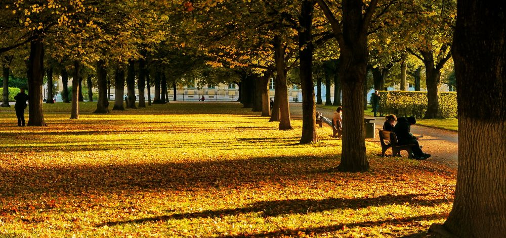 Goldener Herbst von Fuchs-Art 