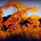 Goldener Herbst