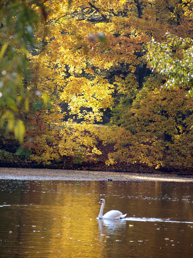 Goldener Herbst