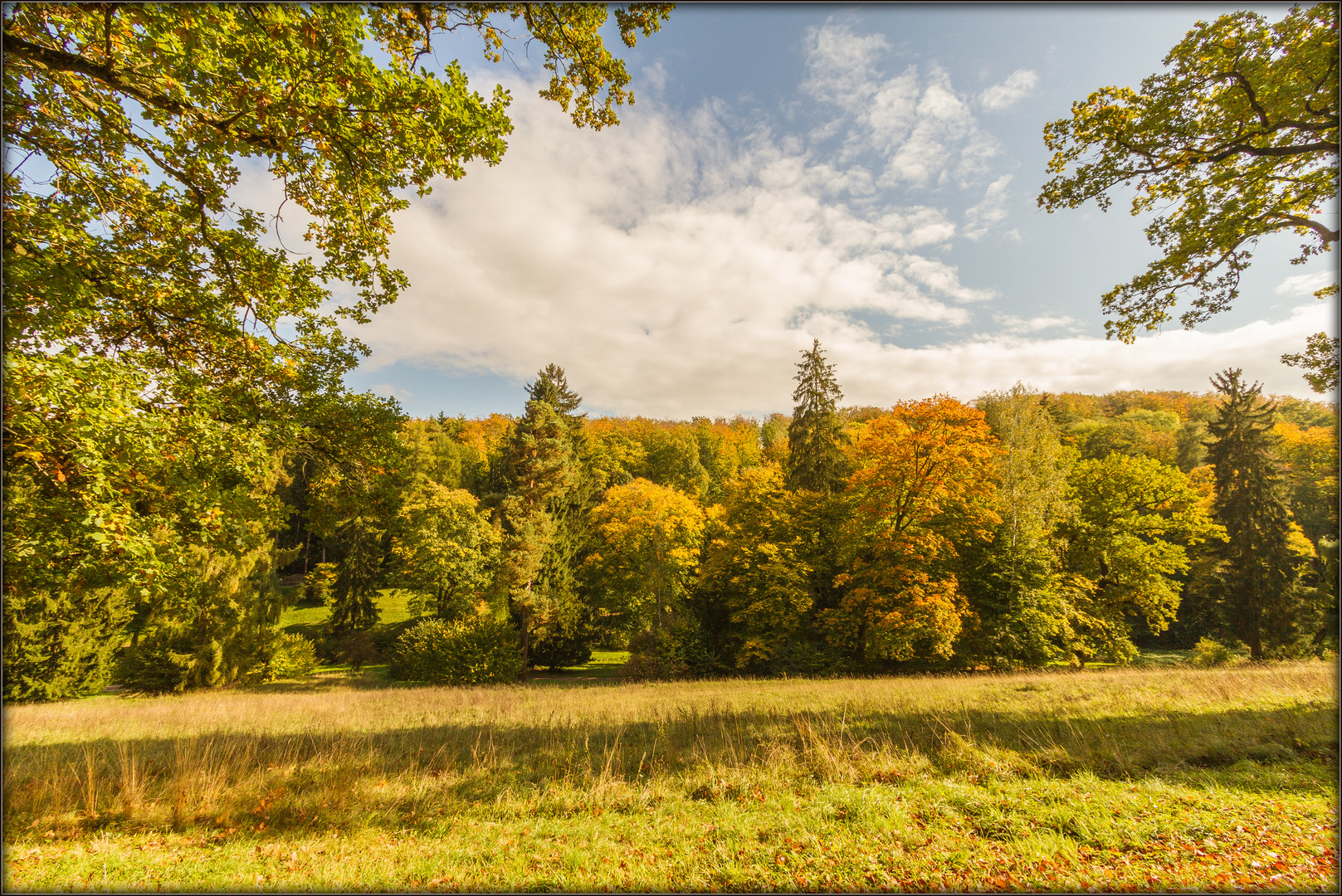 Goldener Herbst 4