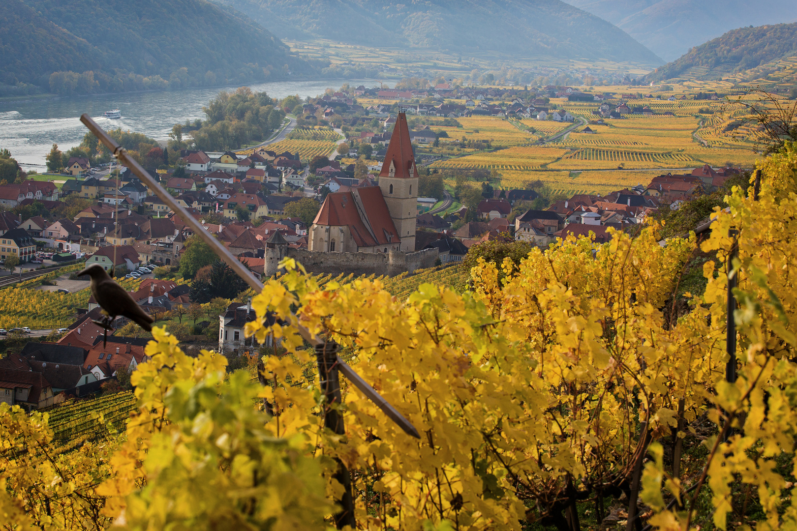 goldener Herbst ...