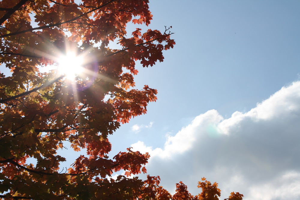 Goldener Herbst