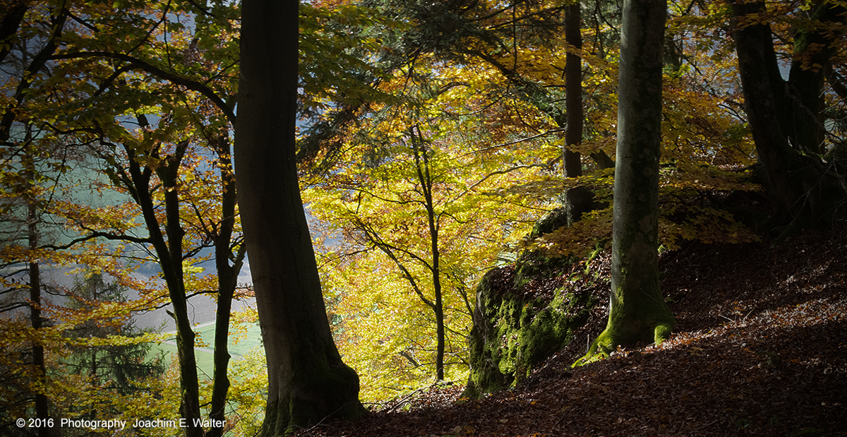 Goldener Herbst