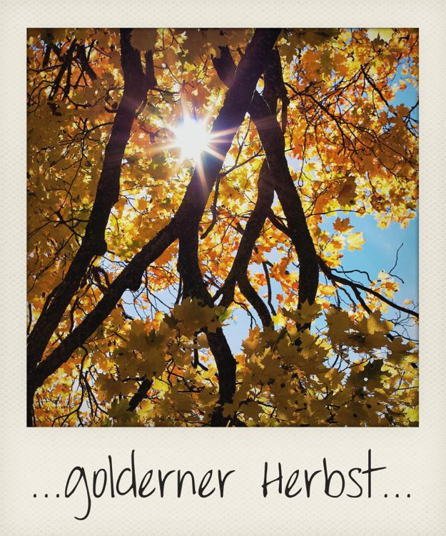 ...goldener Herbst...