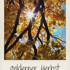 ...goldener Herbst...