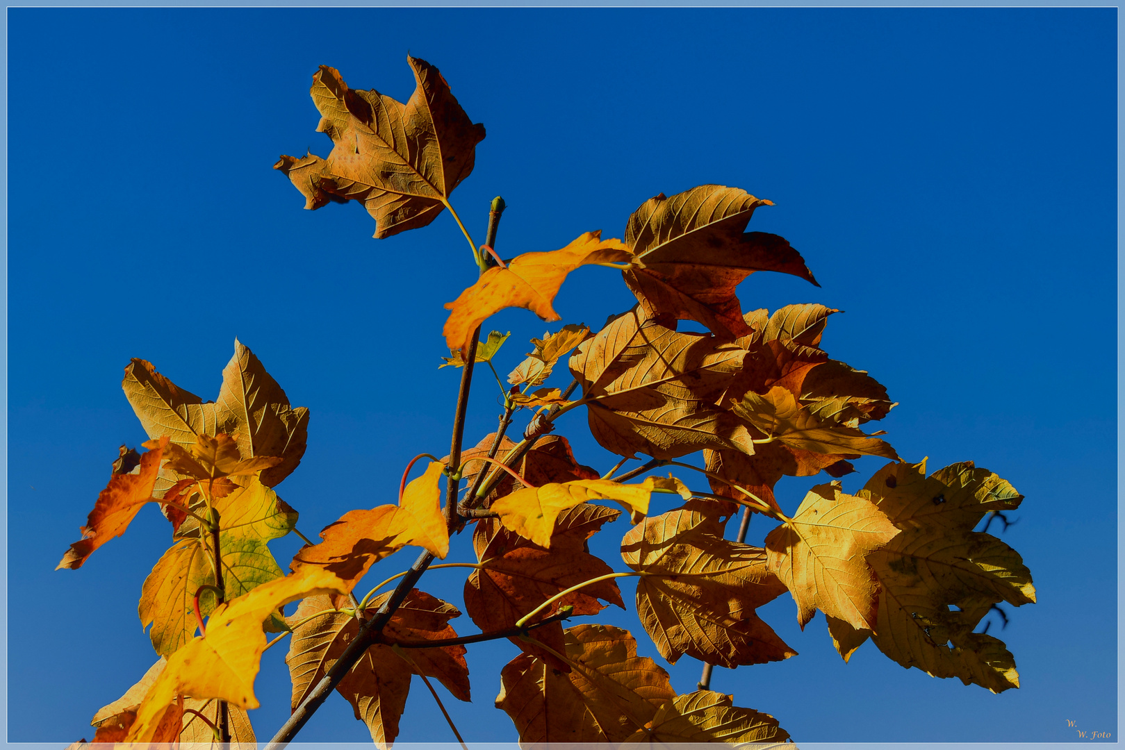 Goldener Herbst