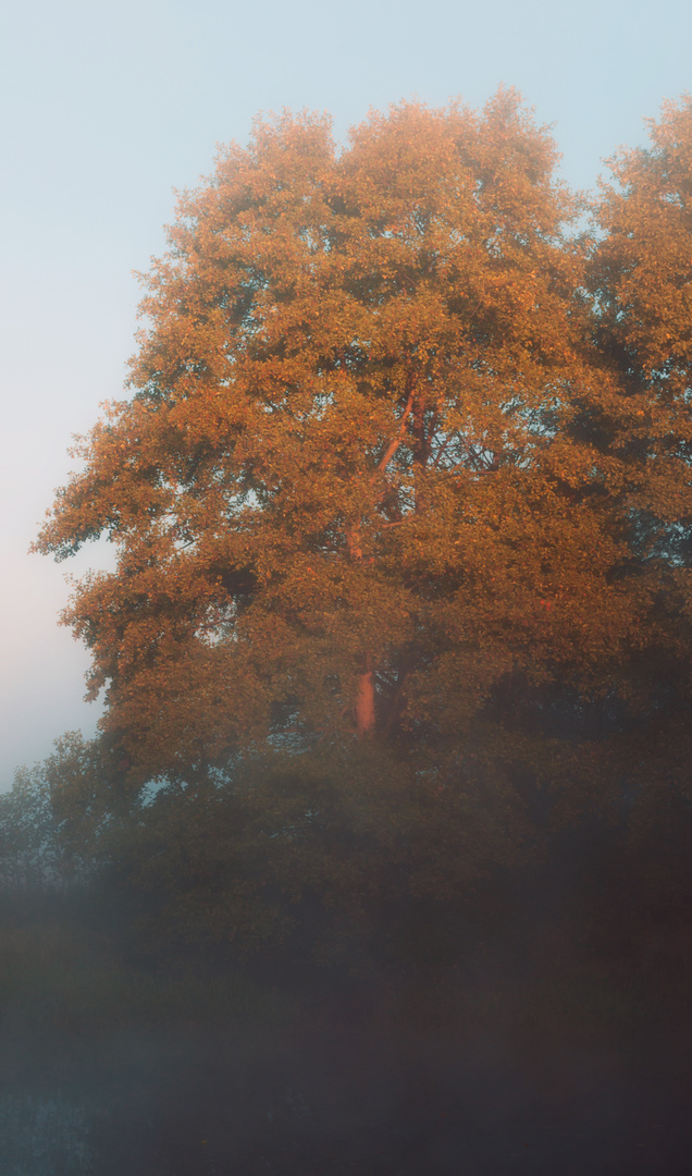 Goldener Herbst