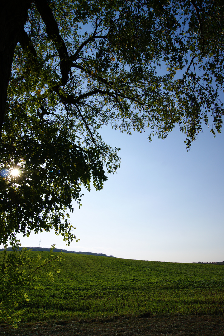 Goldener Herbst ..