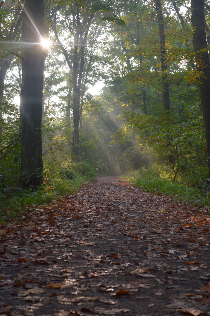 goldener Herbst