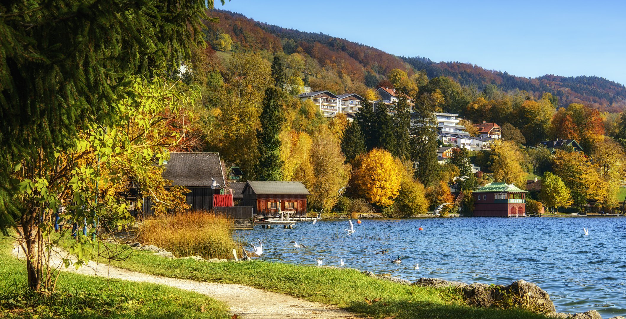 goldener Herbst