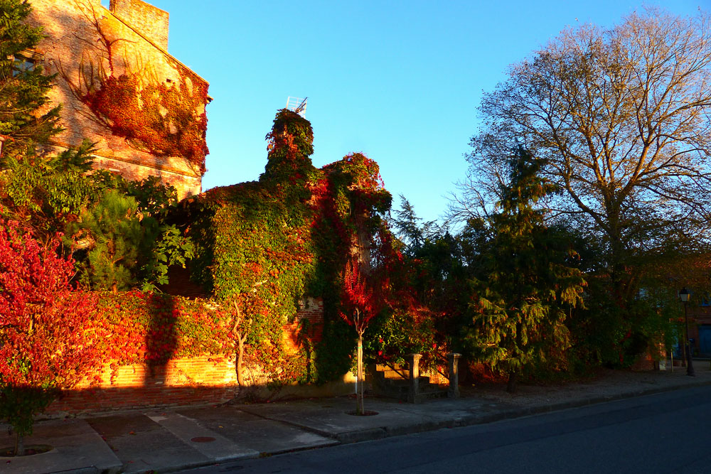 Goldener Herbst