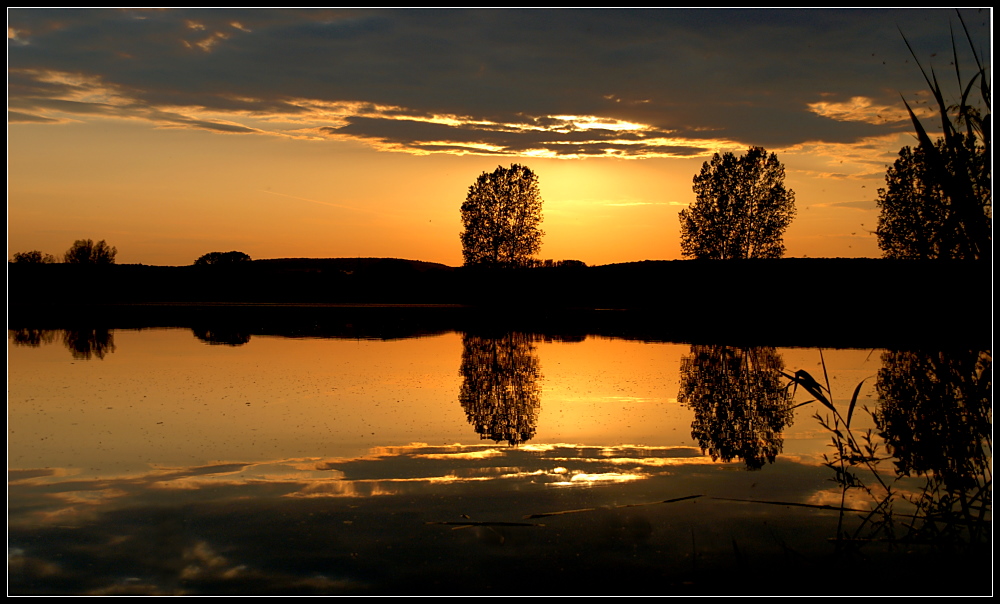 - Goldener Herbst -