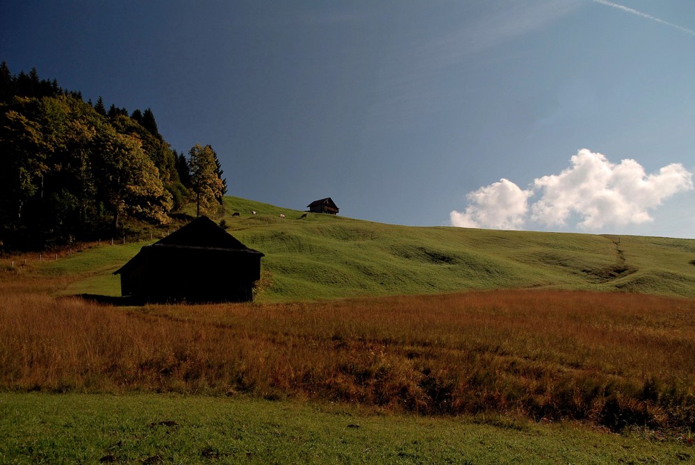 Goldener Herbst