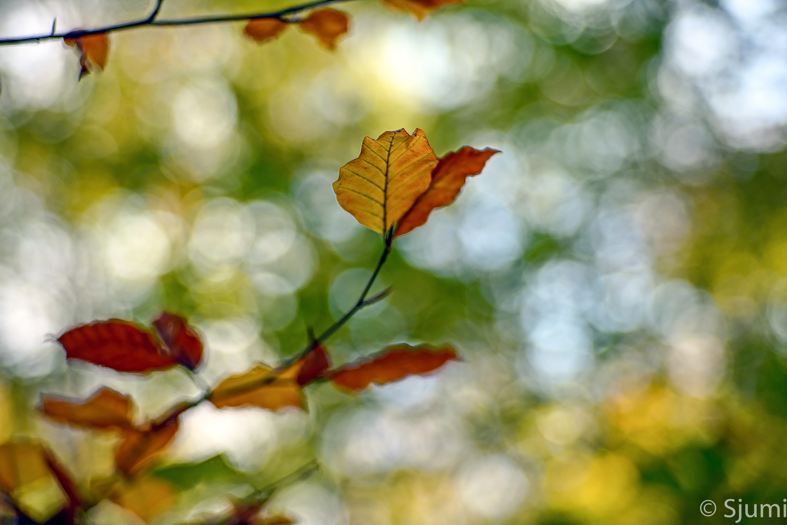 Goldener Herbst