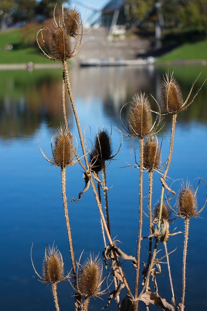 Goldener Herbst