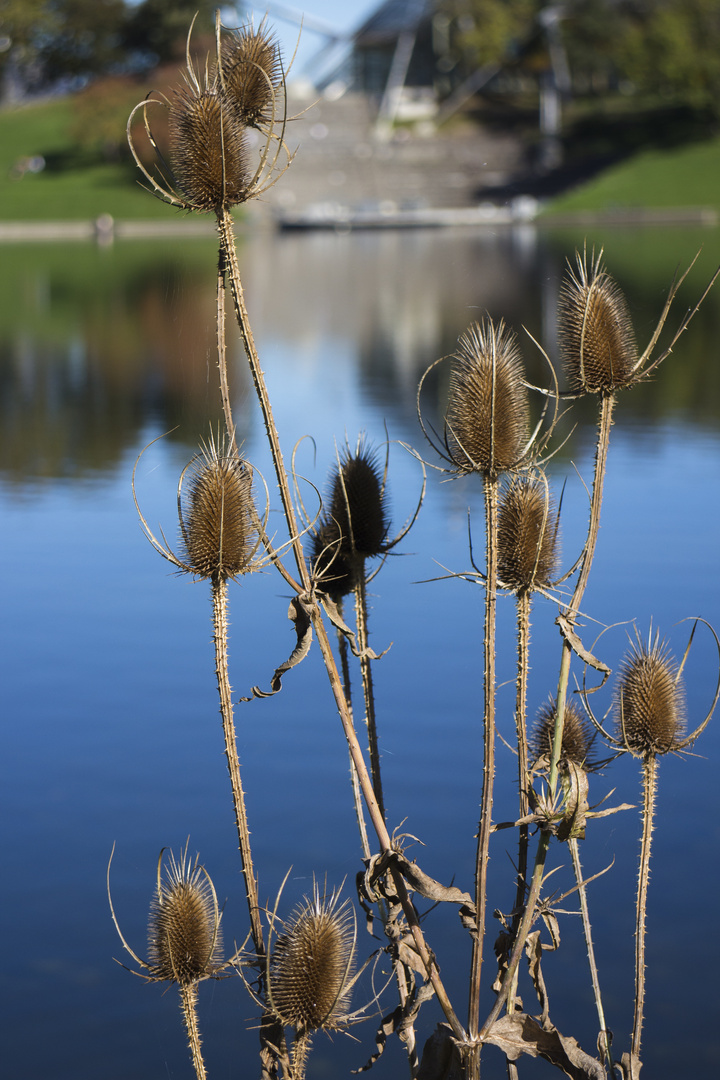 Goldener Herbst