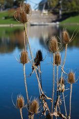 Goldener Herbst