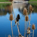 Goldener Herbst