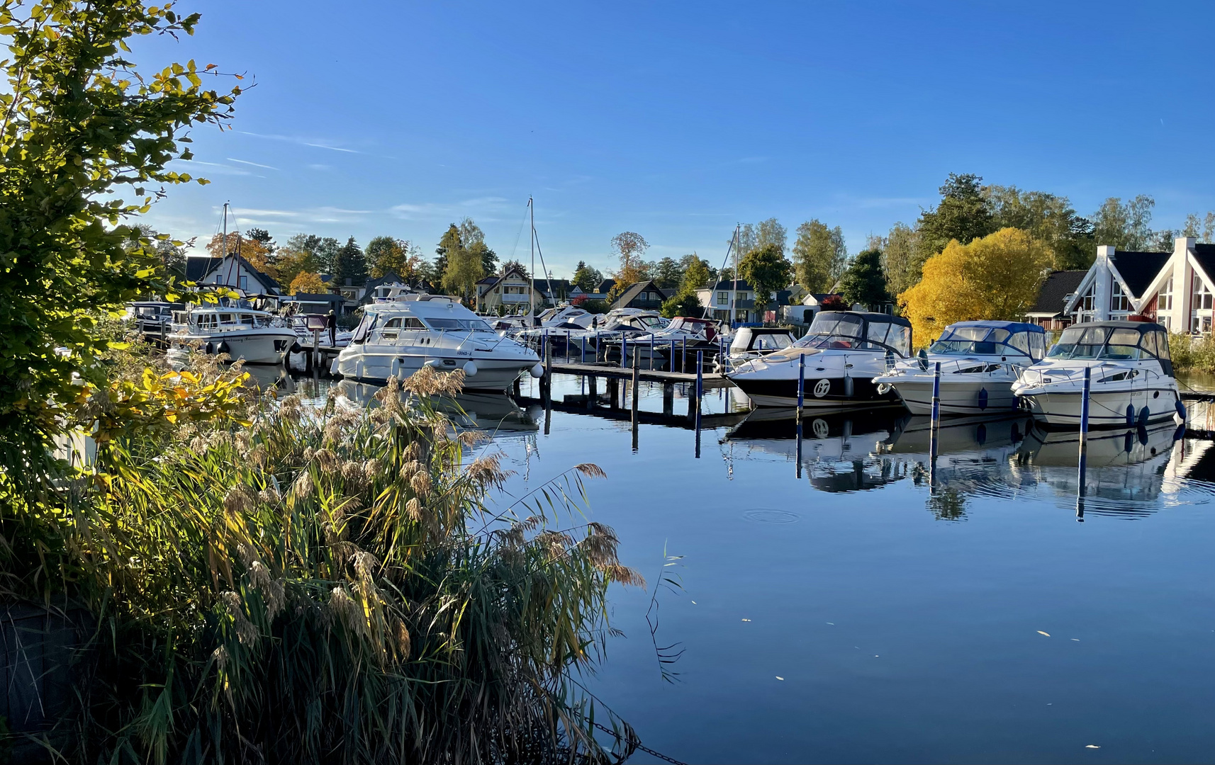 Goldener Herbst