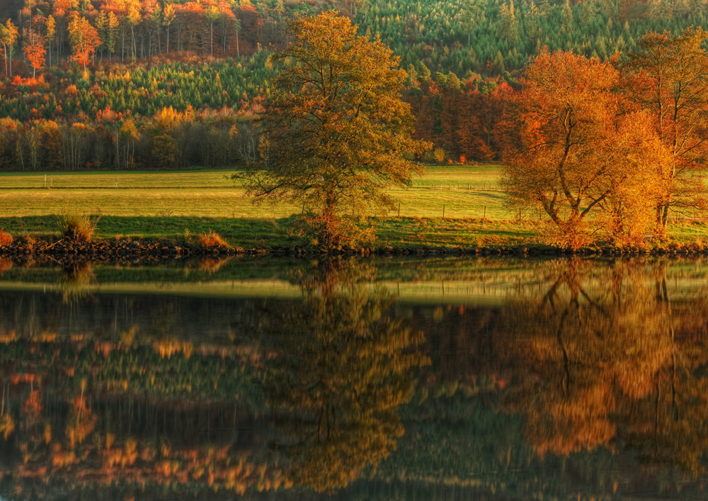 Goldener Herbst