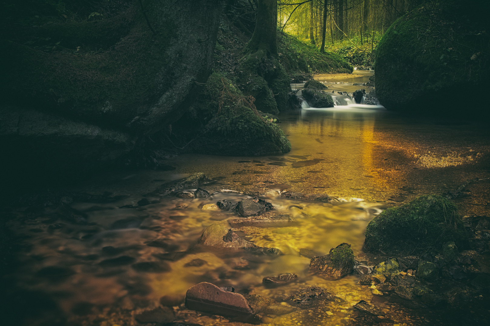 goldener herbst