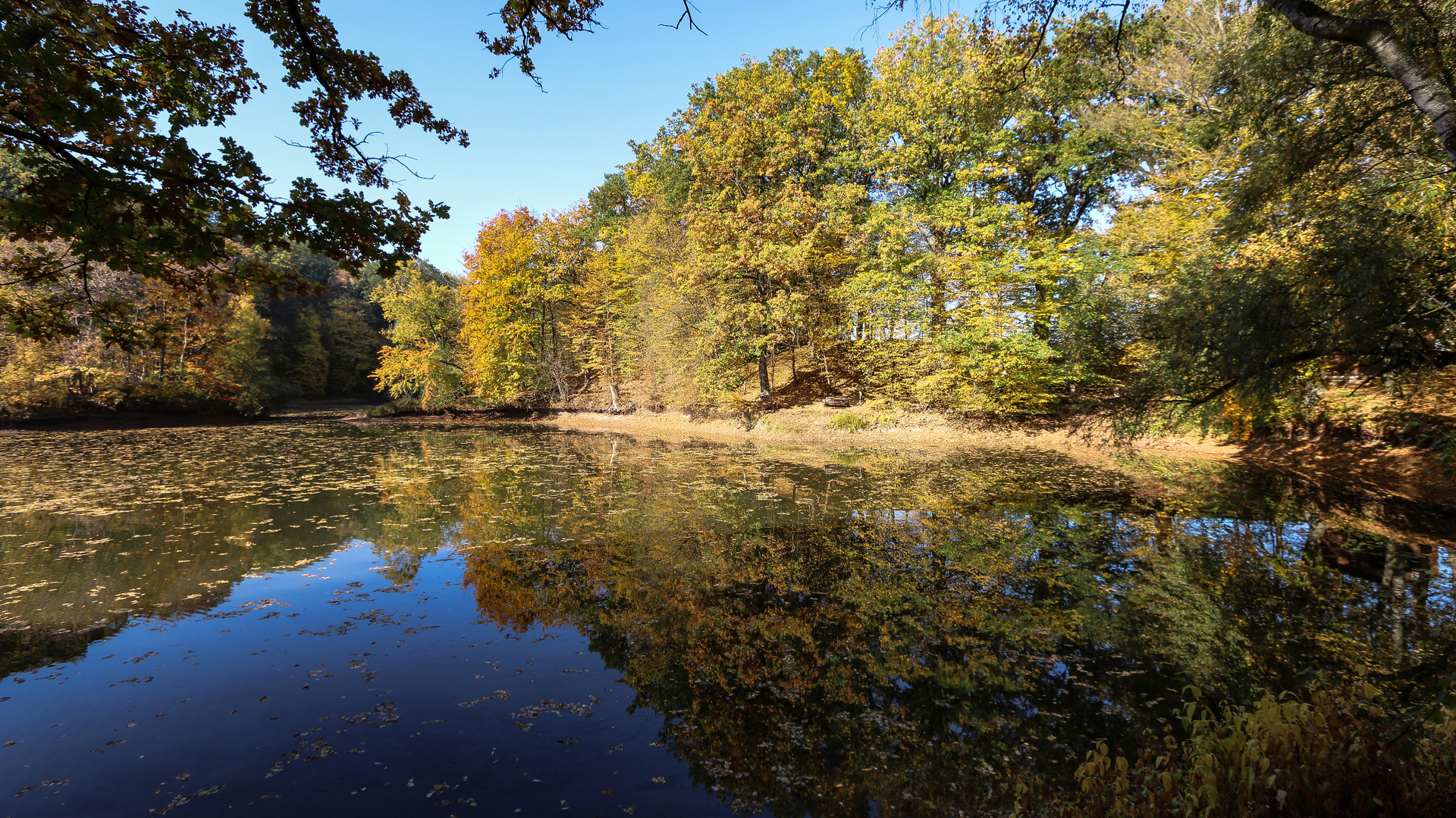 goldener Herbst