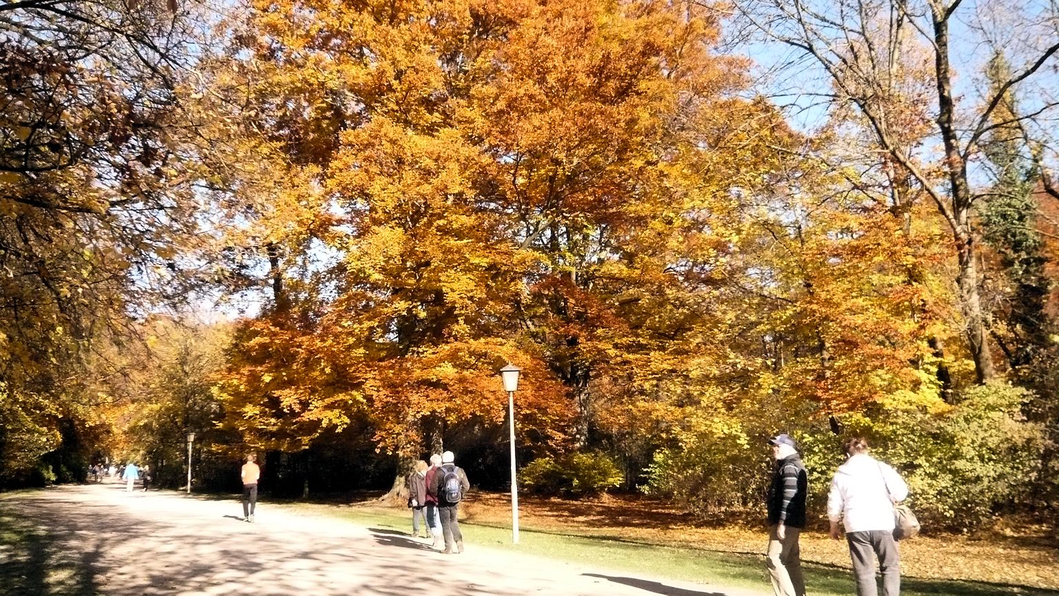 Goldener Herbst