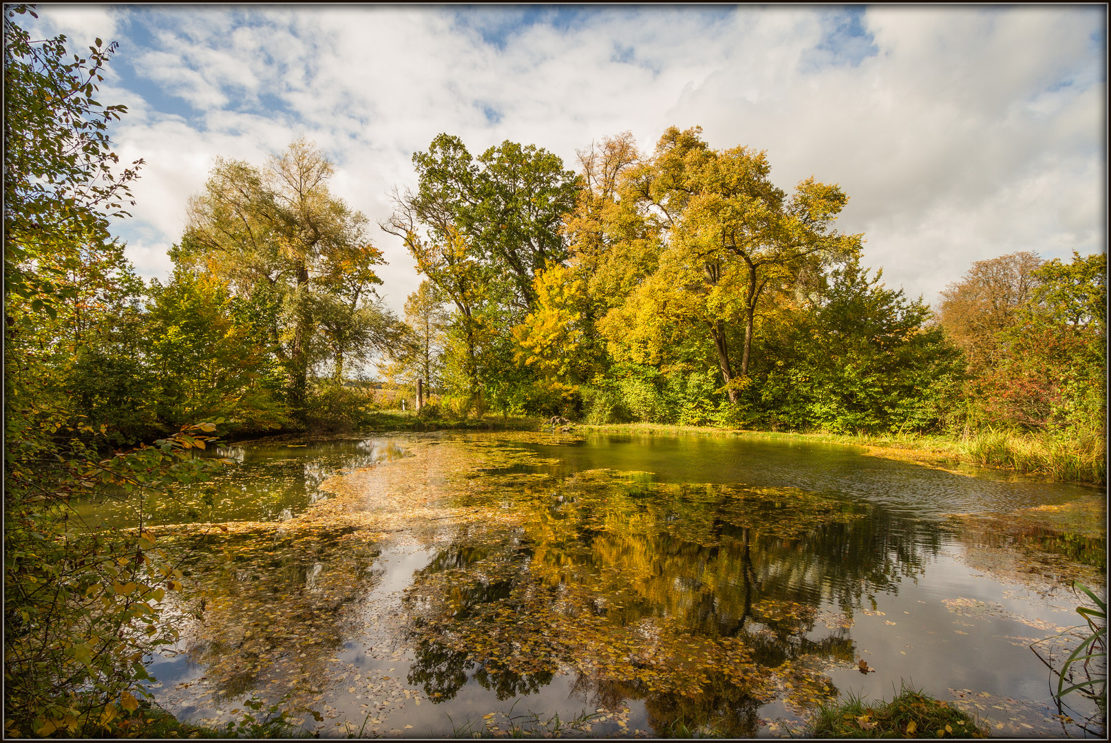 Goldener Herbst 5