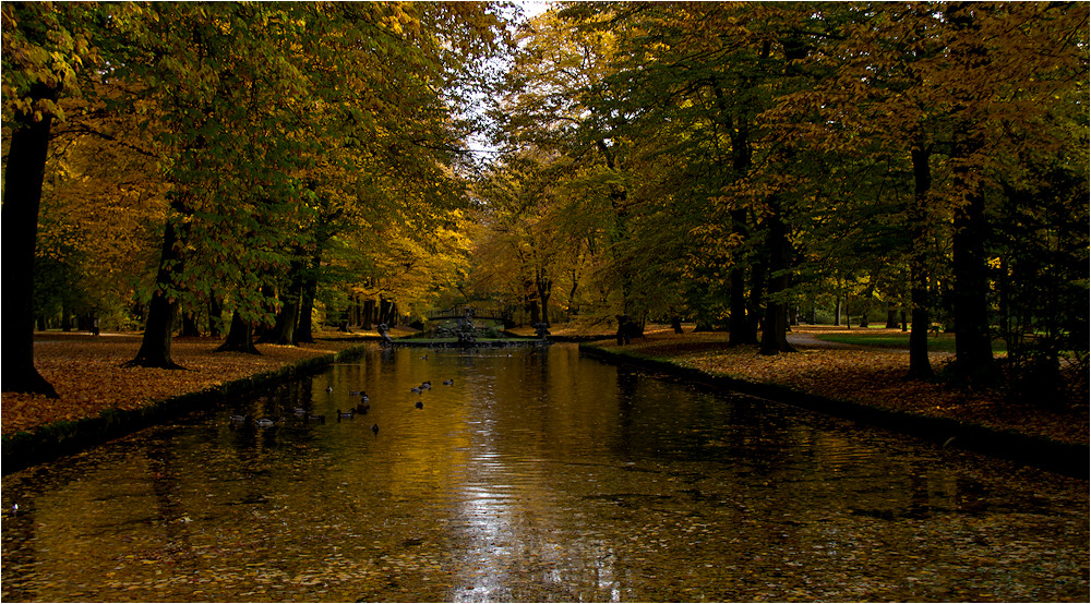 goldener herbst ...