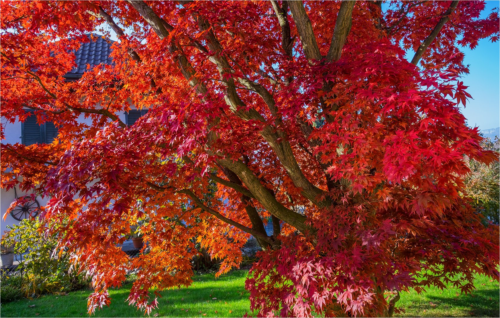 Goldener Herbst