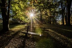 Goldener Herbst