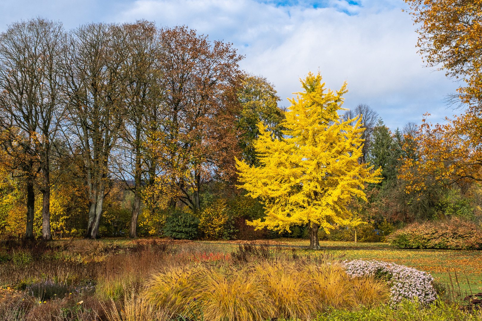 Goldener Herbst