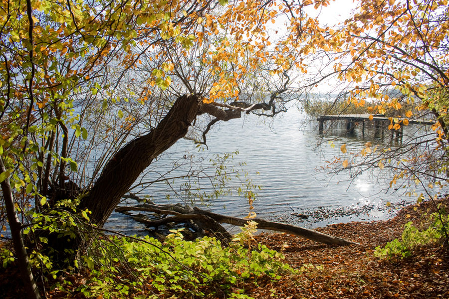 goldener Herbst