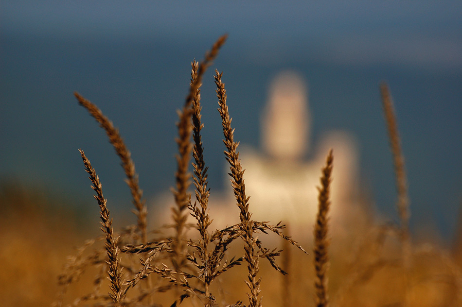 Goldener Herbst