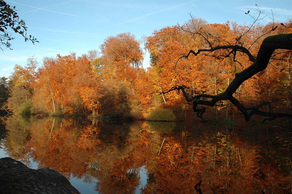 Goldener Herbst