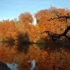 Goldener Herbst