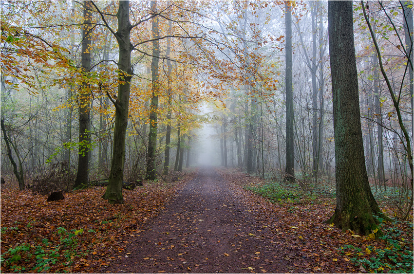 Goldener Herbst