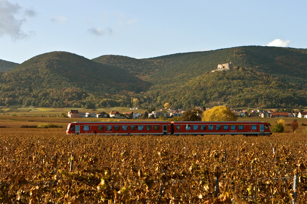 Goldener Herbst