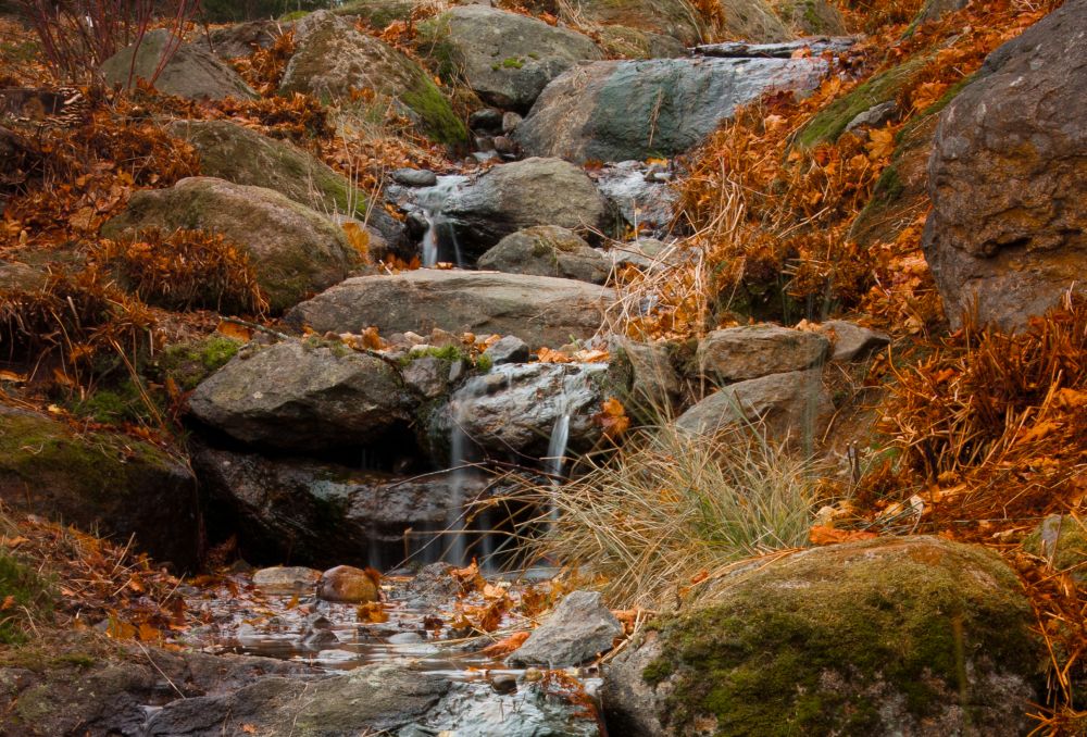 Goldener Herbst