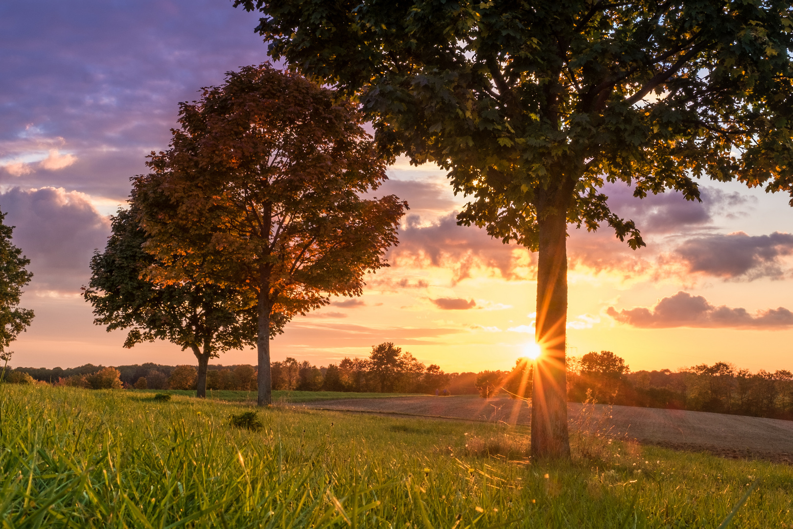 Goldener Herbst