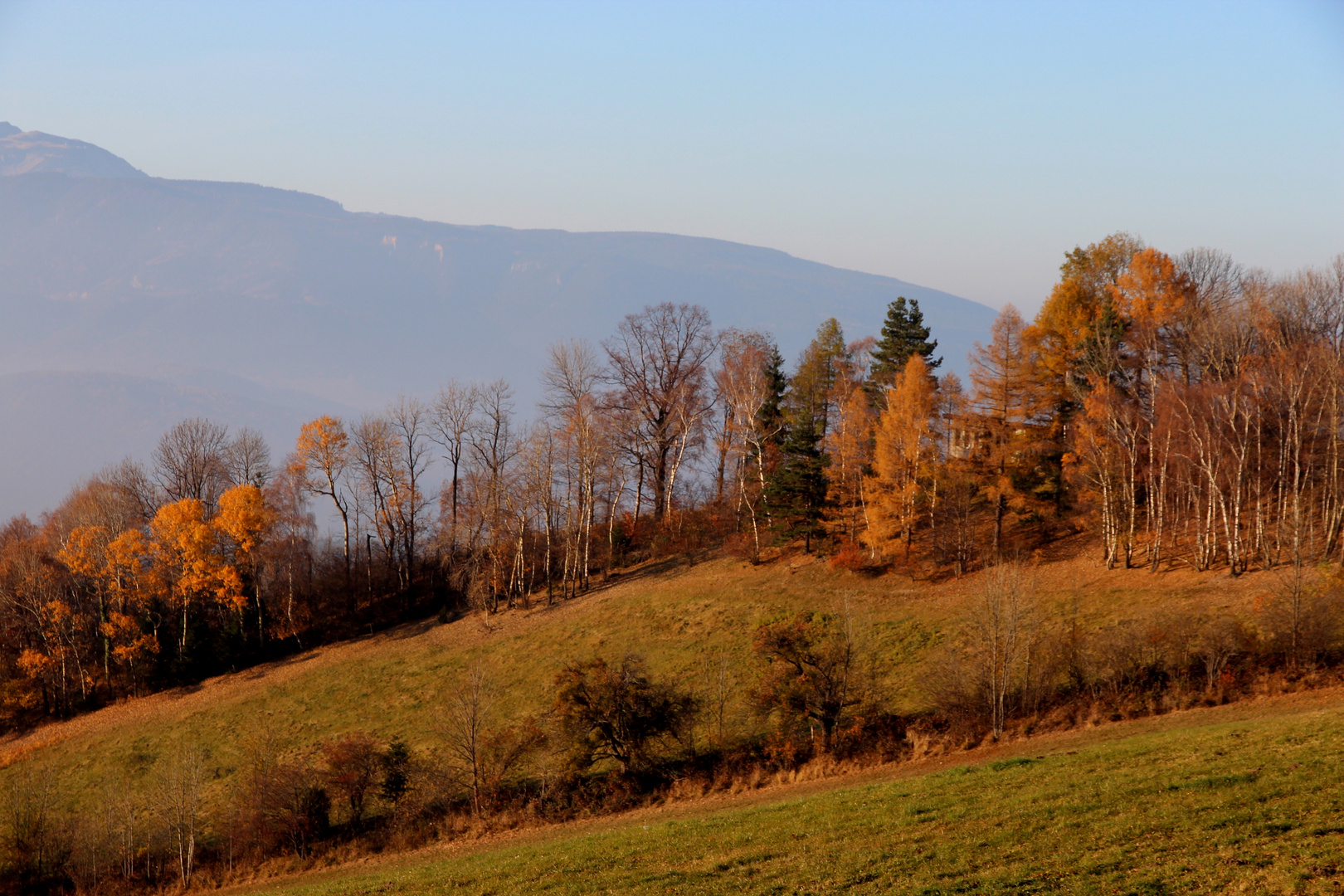 Goldener Herbst