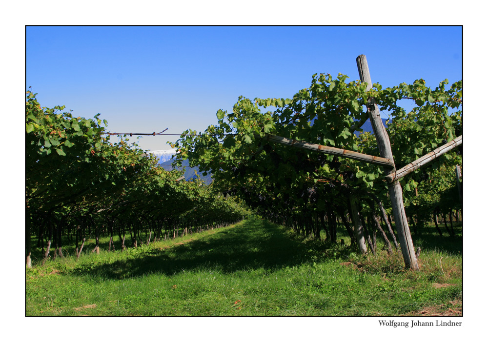 Goldener Herbst