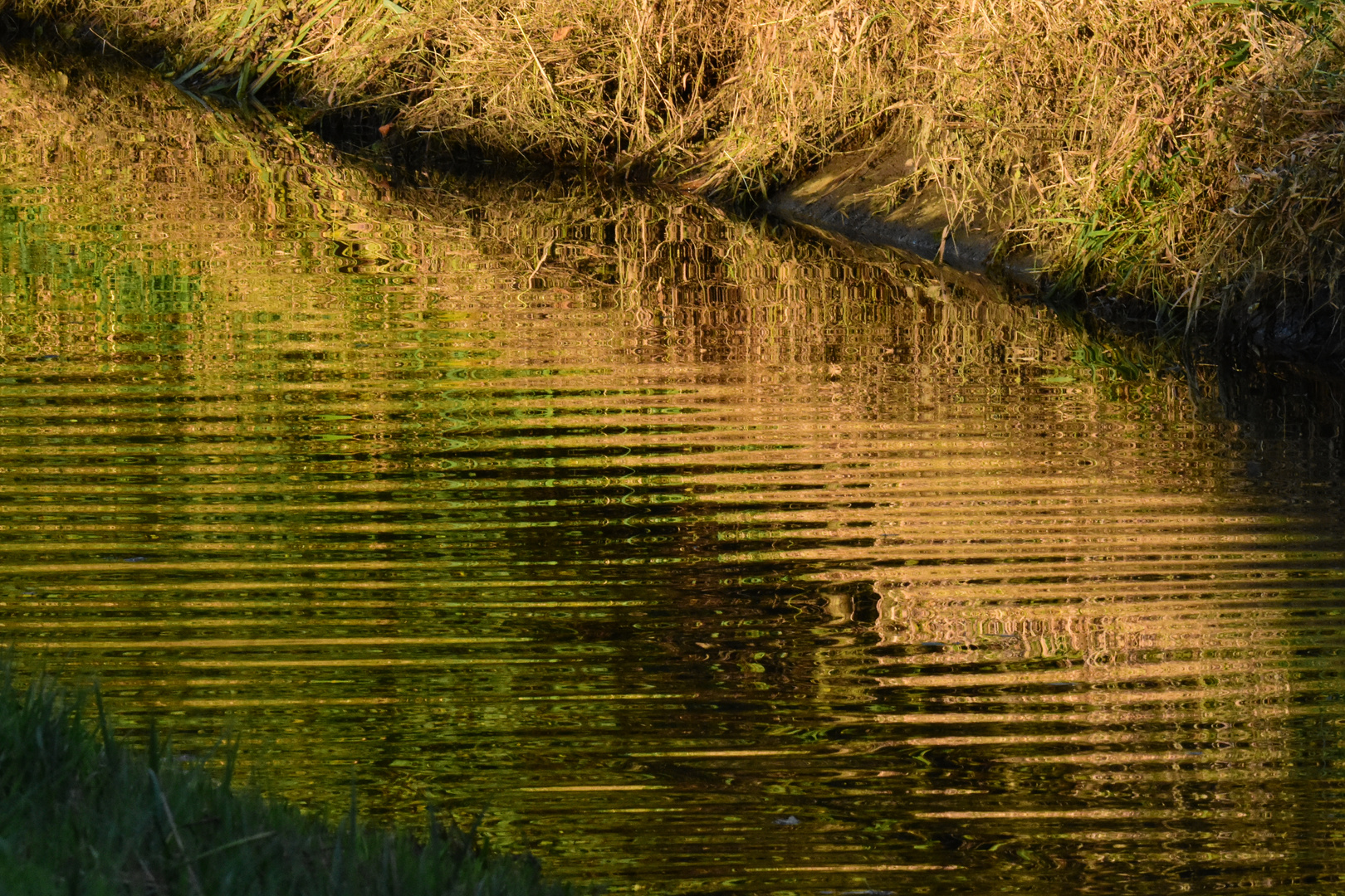 Goldener Herbst