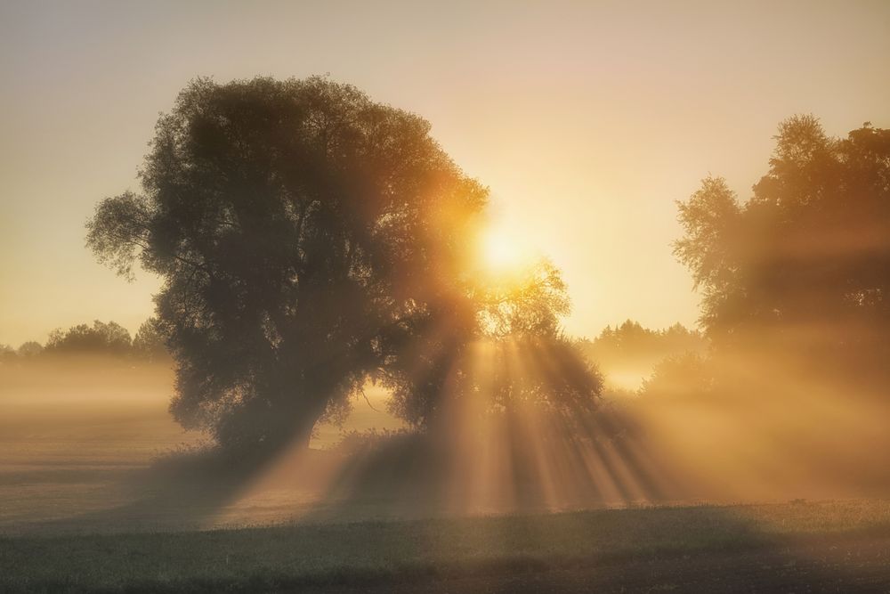 Goldener Herbst