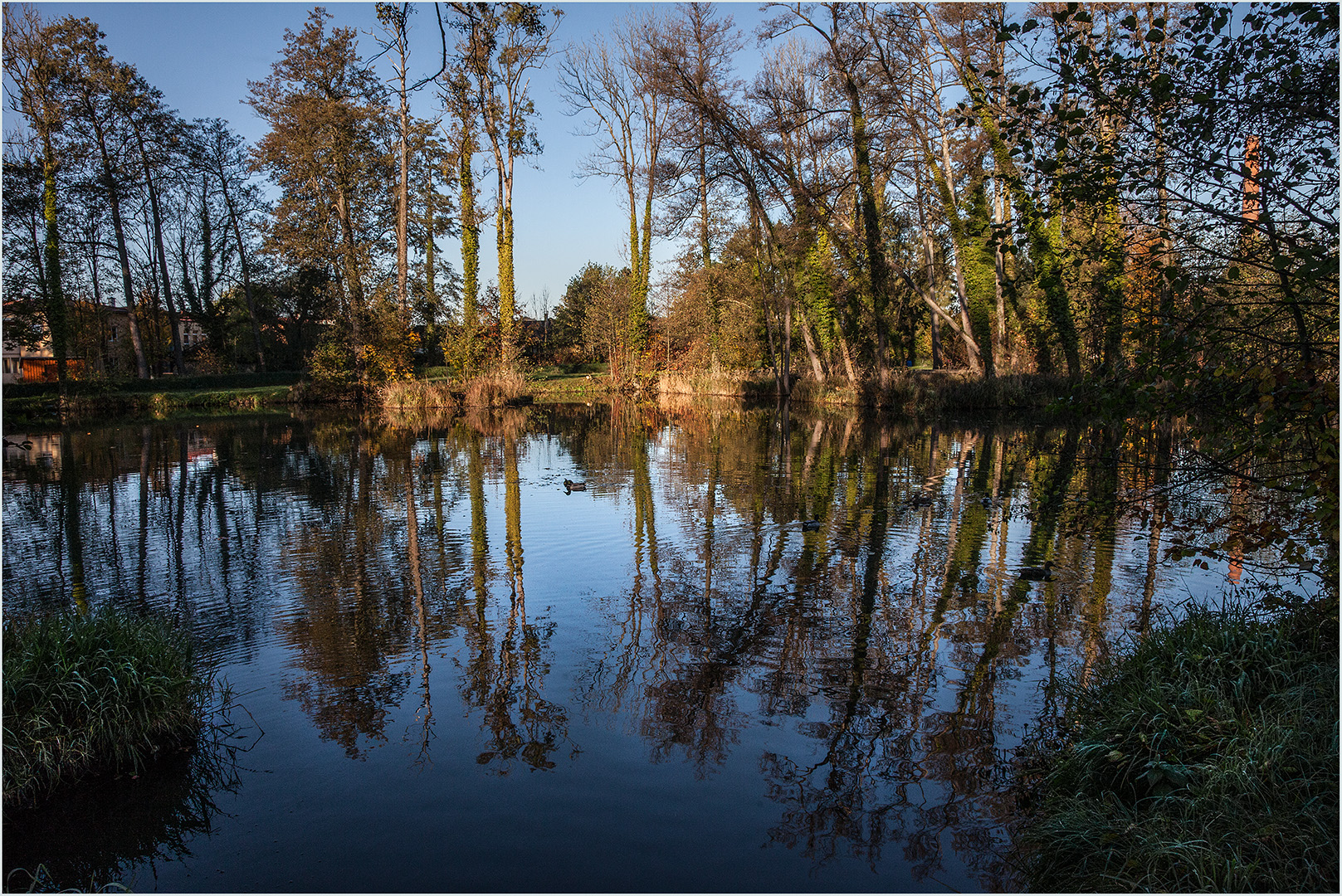 Goldener Herbst