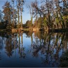 Goldener Herbst