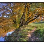 goldener Herbst