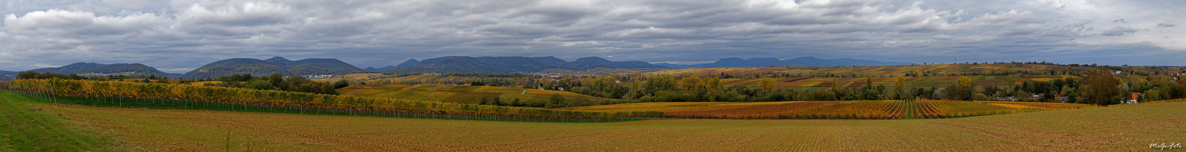 Goldener Herbst