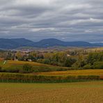 Goldener Herbst